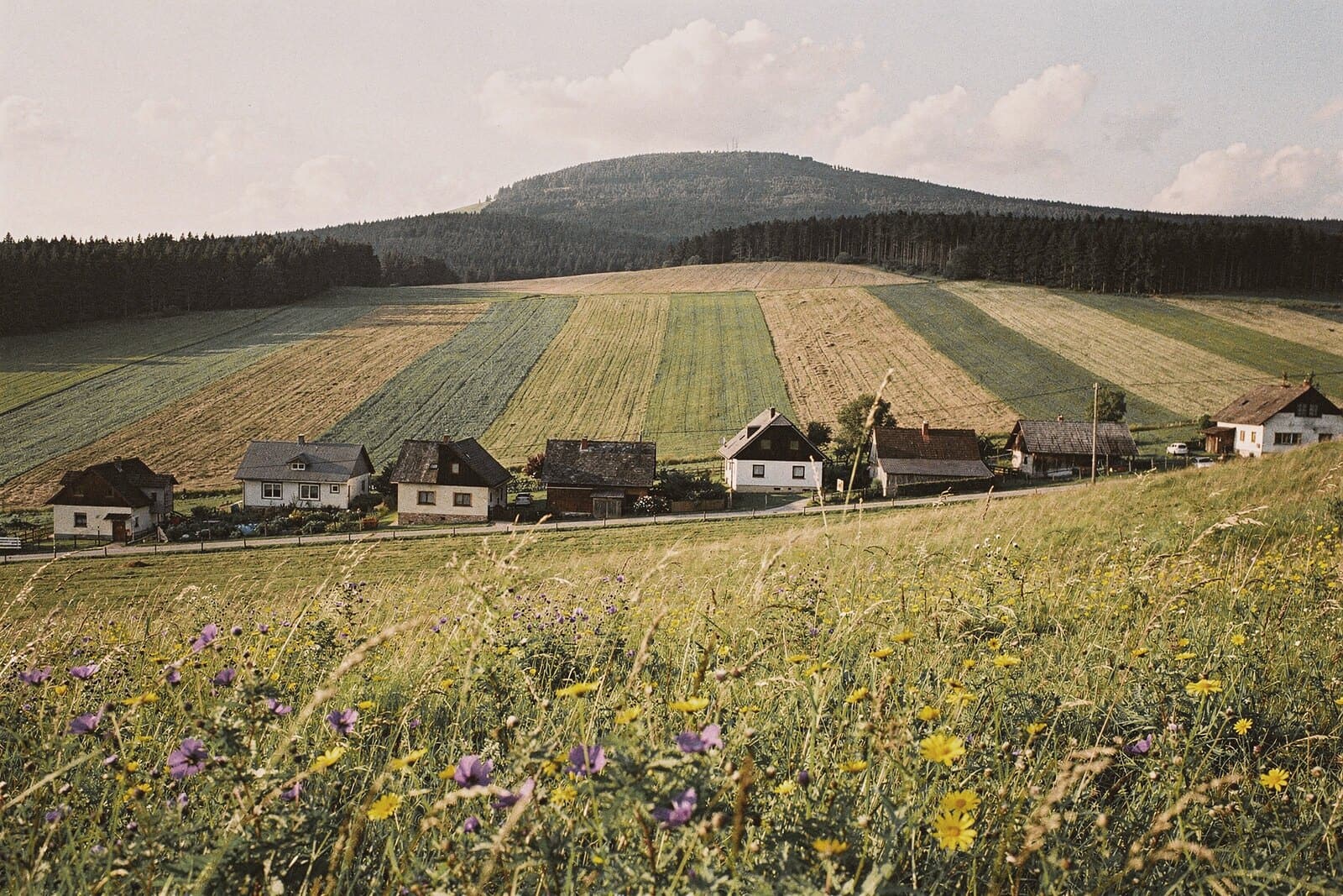 Bergwiesen mit Blumen über einem langgestreckten Dorf, dessen Feldstreifen zum bewaldeten Höhenrücken hinaufziehen.